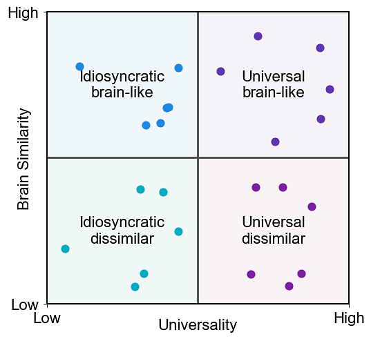 Universality indexes to what extent a network dimension is shared by other networks, and brain similarity refers to how similar a network dimension is to the brain's dimensions.