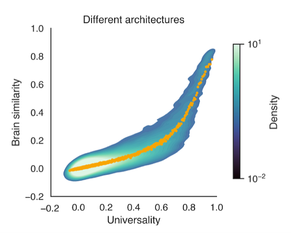Positive relationship between universality and brain similarity