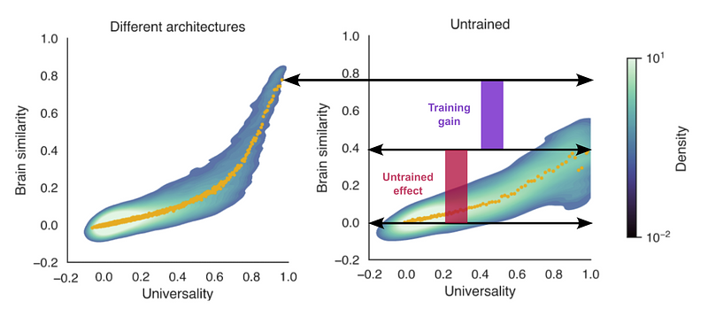 Training effects on universal dimensions