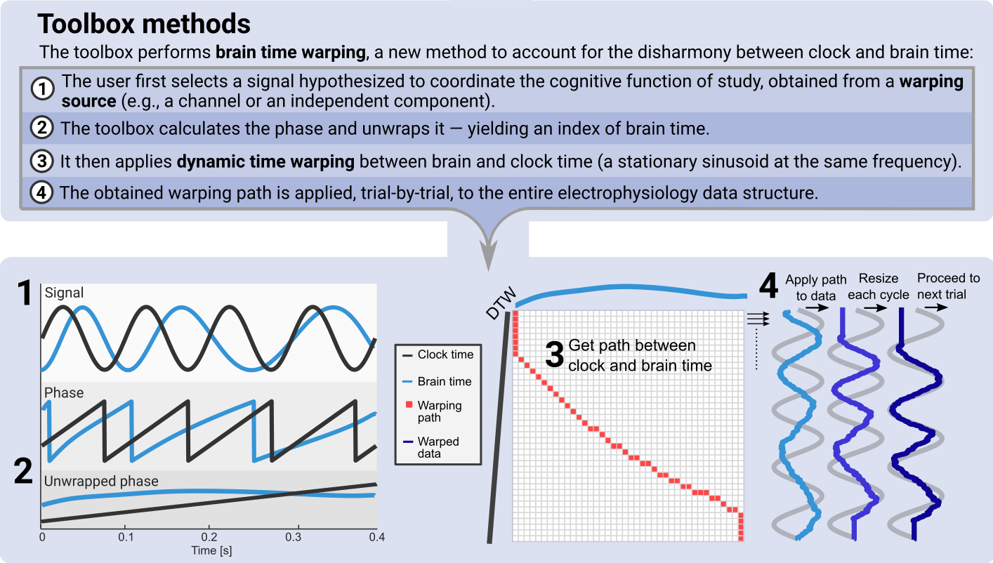 Brain Time Toolbox workflow diagram